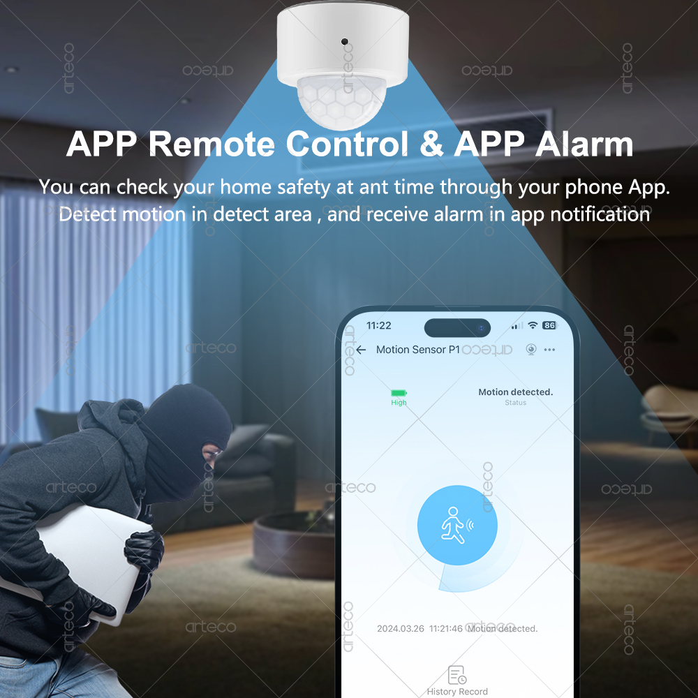 Ewelink Zigbee PIR датчик движ – обзор и цена Home Security Alexa