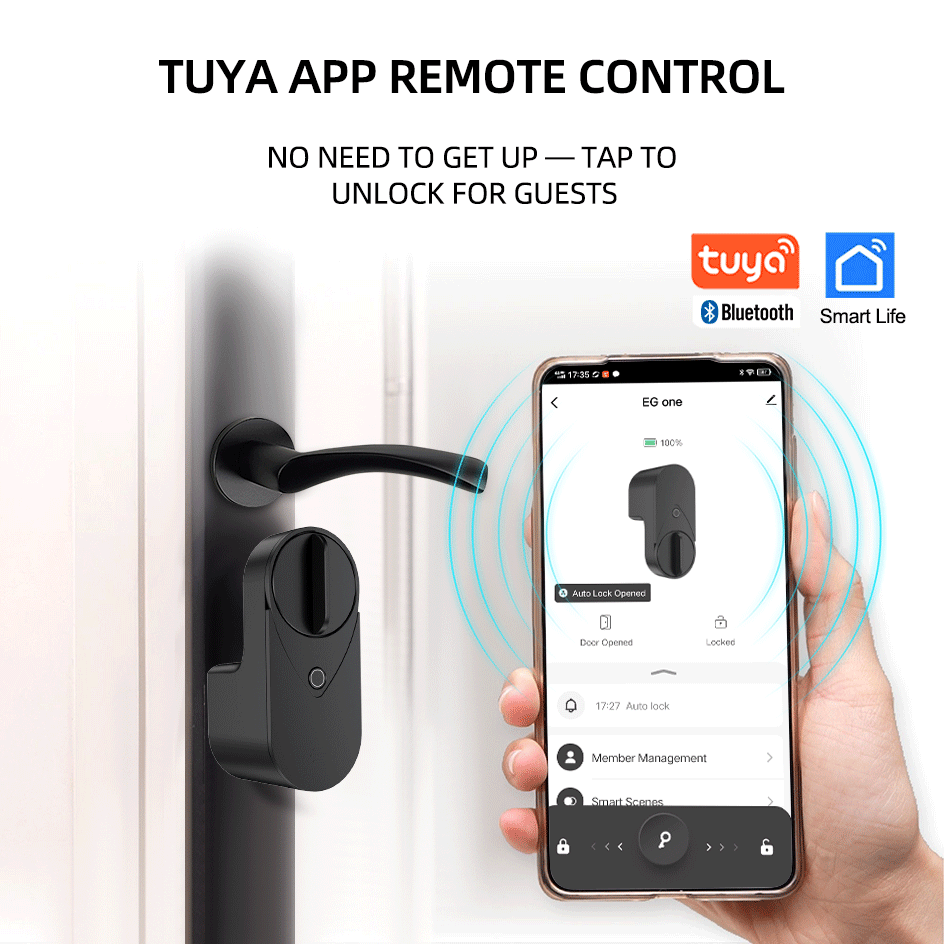 Умный замок RAYKUBE EG One Tuy – обзор и цена Home Security For Apartments