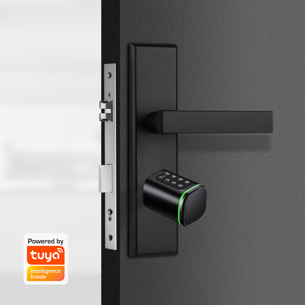 Умный цилиндрический замок Tuy – обзор и цена Home Security Essential