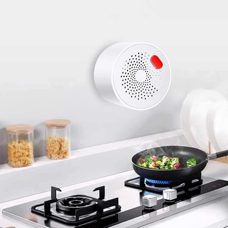 Датчик природного газа Tuya Sm – обзор и цена Home Security Device